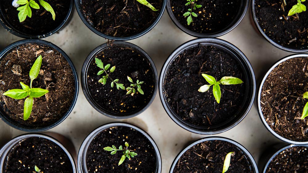 It&rsquo;s Time To Design Your Dream Outdoor Leaving Space