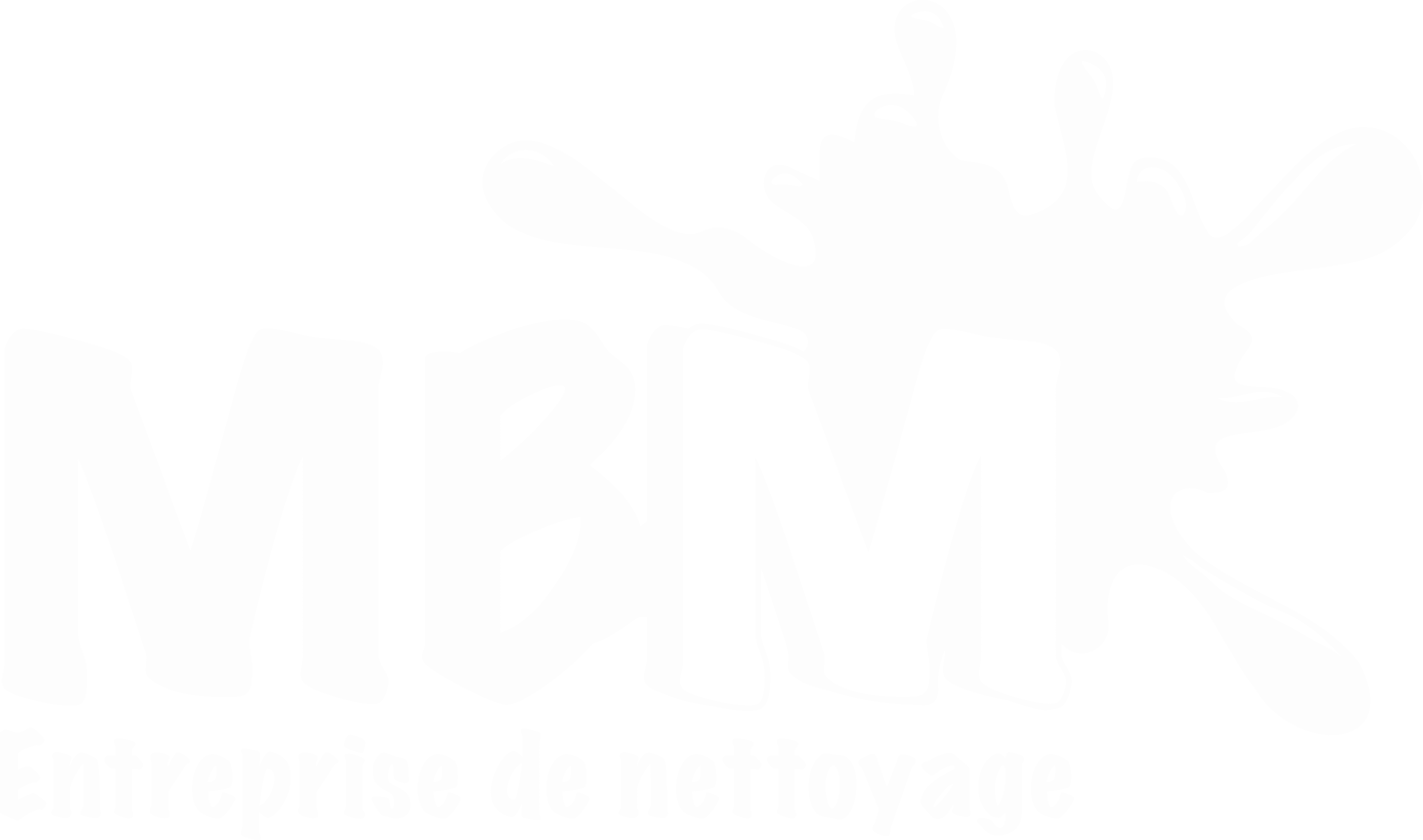 MBM entreprise de nettoyage spécialisée